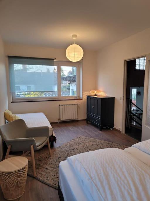 Cosy In South Alsace For Work And Leisure * Pfastatt