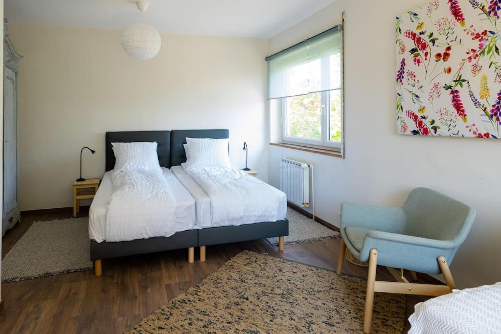 Cosy In South Alsace For Work And Leisure Pfastatt