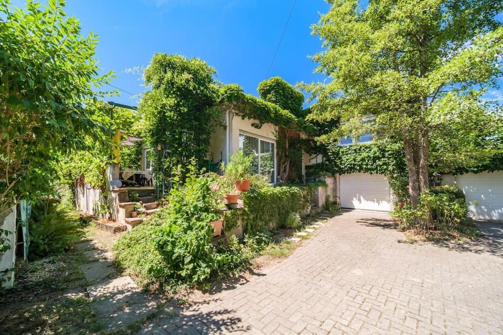 Cosy In South Alsace For Work And Leisure